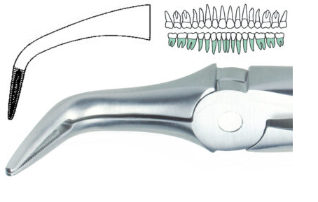 [SAROOTCU] EXTRACTION FORCEPS ROOT TIP LOWER