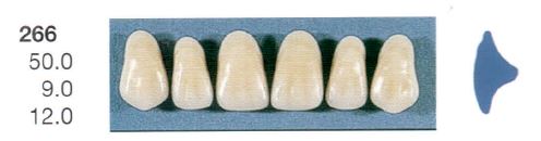 [SE266-A2U] 266-A2U ANTERIOR SENATOR TEETH