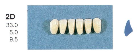 2D-A2L ANTERIOR SENATOR TEETH | Oraltec