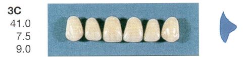 3C-A2U ANTERIOR SENATOR TEETH | Oraltec