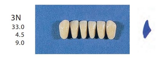 [SE3N-A2L] 3N-A2L ANTERIOR SENATOR TEETH