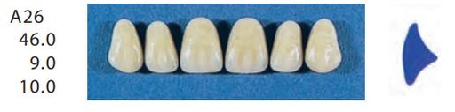 [SEA26-D4U] A26-D4U ANTERIOR SENATOR TEETH