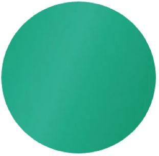 [SORO4PG] M/GUARD RD 4MM PEARL GREEN DESIGN 120MM