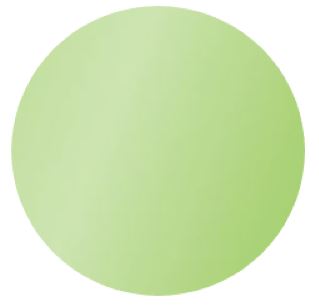 [SORO4PL] M/GUARD RD 4MM PEARL LIME GREEN 120MM