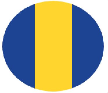 [SORODBYDB] M/GUARD RD 4MM DKBLUE/YEL 3 STRIPE 120MM