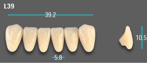 [VIAB0M1VL39] VITA VIONIC VIGO Anterior, 0M1, L39