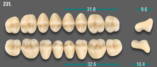[VIABA1V22LUK] VITA VIONIC VIGO Posterior, A1, 22L UK