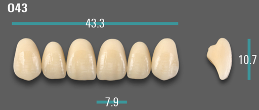 [VIABA1VO43] VITA VIONIC VIGO Anterior, A1, O43