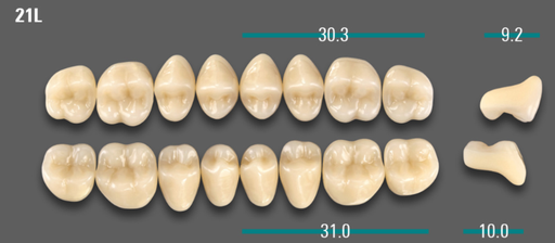 [VIABA2V21LOK] VITA VIONIC VIGO Posterior, A2, 21L OK