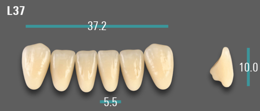 [VIABA3VL37] VITA VIONIC VIGO Anterior, A3, L37