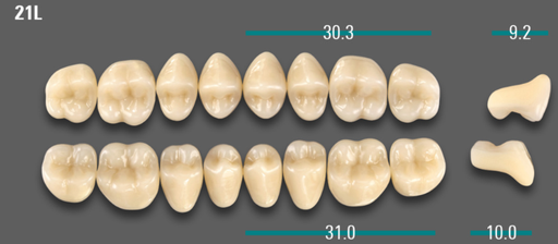 [VIABB3V21LOK] VITA VIONIC VIGO Posterior, B3, 21L OK