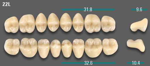 [VIABB3V22LOK] VITA VIONIC VIGO Posterior, B3, 22L OK