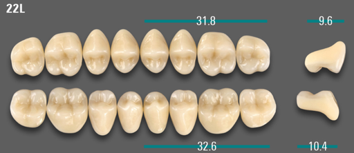 [VIABB3V22LUK] VITA VIONIC VIGO Posterior, B3, 22L UK