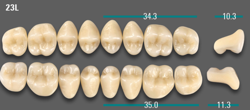 [VIABB3V23LOK] VITA VIONIC VIGO Posterior, B3, 23L OK