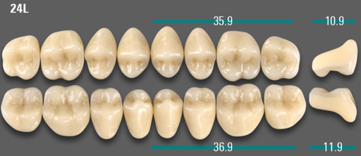 [VIABB3V24LOK] VITA VIONIC VIGO Posterior, B3, 24L OK