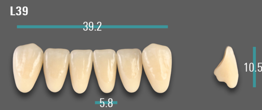 [VIABB3VL39] VITA VIONIC VIGO Anterior, B3, L39