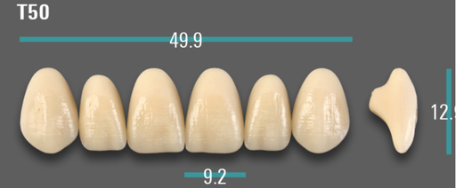 [VIABB3VT50] VITA VIONIC VIGO Anterior, B3, T50