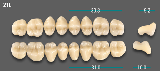 [VIABD3V21LUK] VITA VIONIC VIGO Posterior, D3, 21L UK