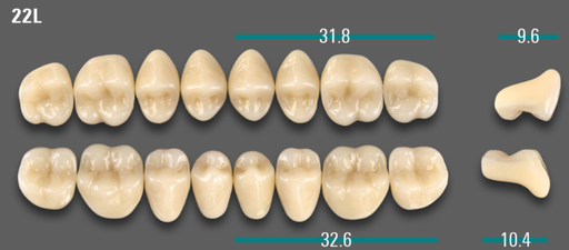 [VIABD3V22LOK] VITA VIONIC VIGO Posterior, D3, 22L OK