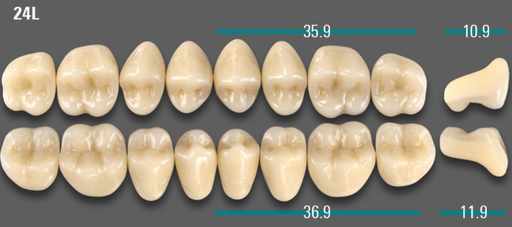 [VIABD3V24LUK] VITA VIONIC VIGO Posterior, D3, 24L UK