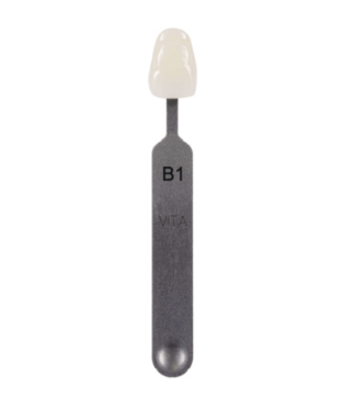 [VIG158CN] VITA classical Shade Tab B1
