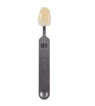 [VIG160CN] VITA classical Shade Tab B3